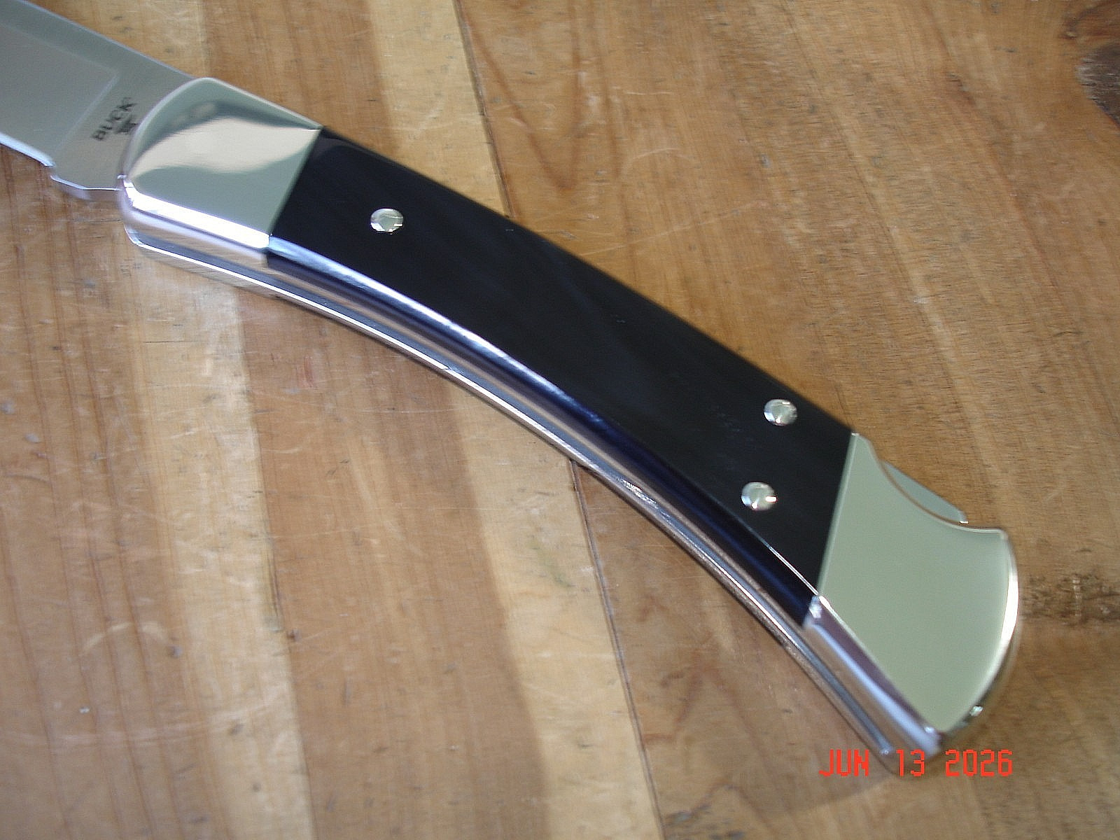 NIB BUCK KNIFE 110 HUNTER BOS MAGNACUT BLADE BLACK BUFFALO HANDLE NICKEL SILVER