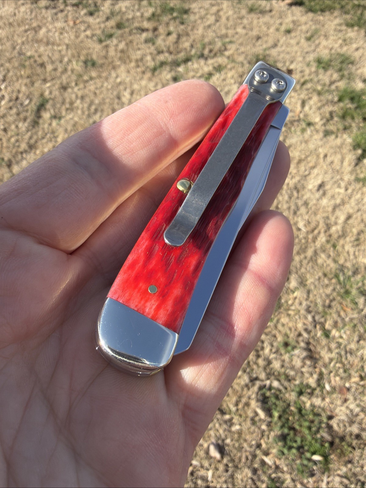 Case XX 2025 Dark Red Bone 6254C CS Trapper Knife (With Pocket Clip)