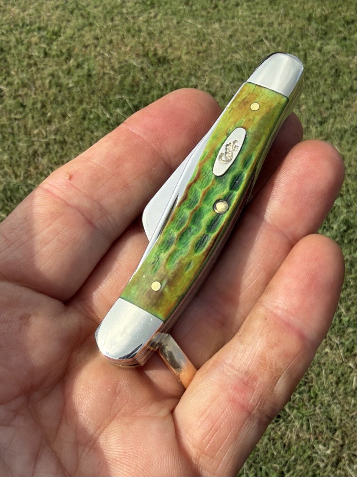 Case XX 2025 Lizardskin Corn Cob Jig Bone 6318 SS Medium Stockman Knife