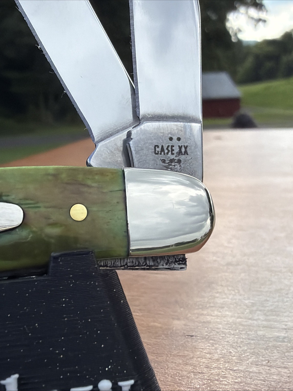 Case XX 2025 Lizardskin Corn Cob Jig Bone 6318 SS Medium Stockman Knife