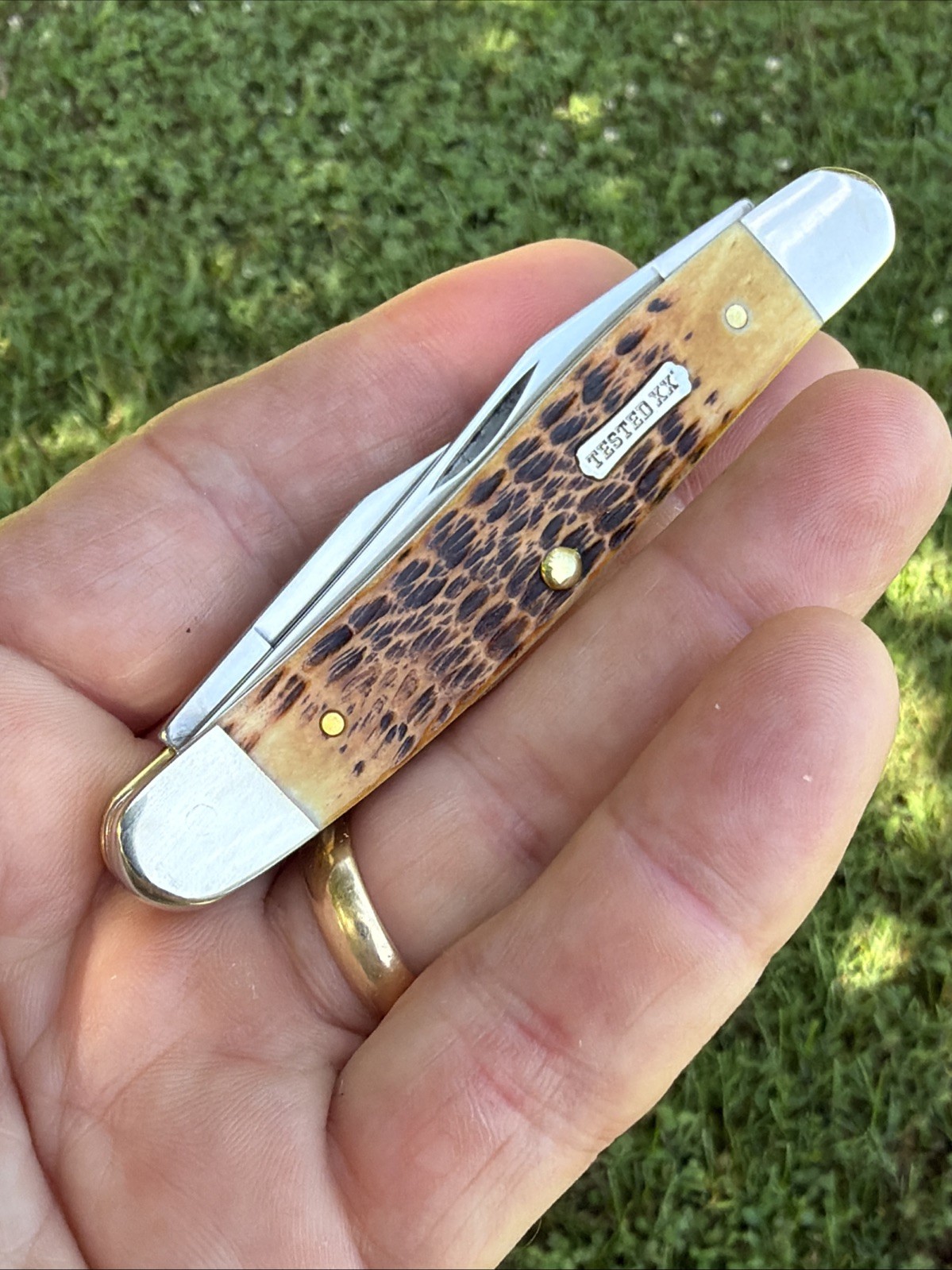 Case XX 2025 Burnt Amber Rogers Jig Bone Muskrat CS Knife
