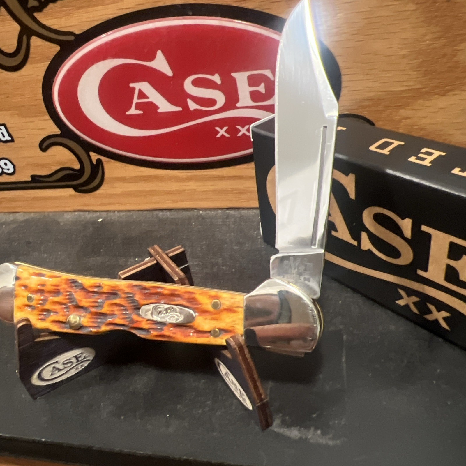 Case XX 2024 Mini Copperlock Harvest Orange Peach Seed Jig Lock-back Gorgeous!