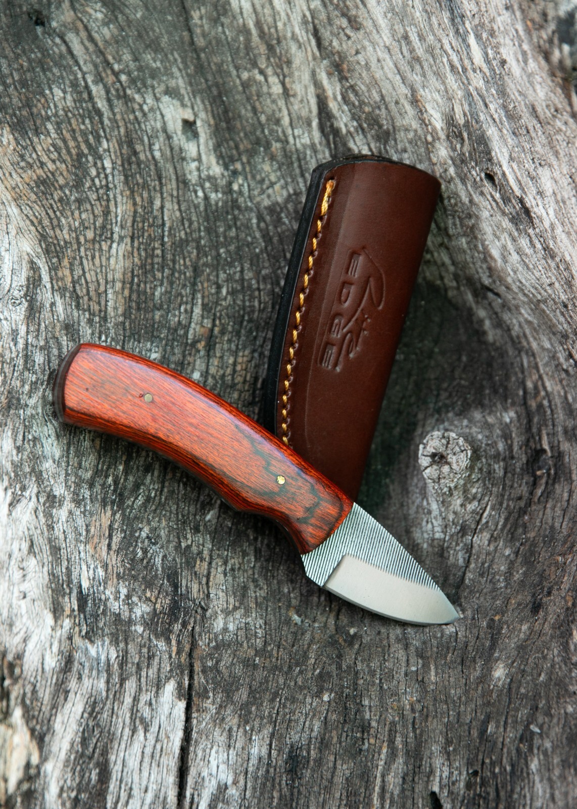 Sawmill Compact 5.5″ Skinner, Hardwood Handle, Leather Sheath – Rugged, Sharp!