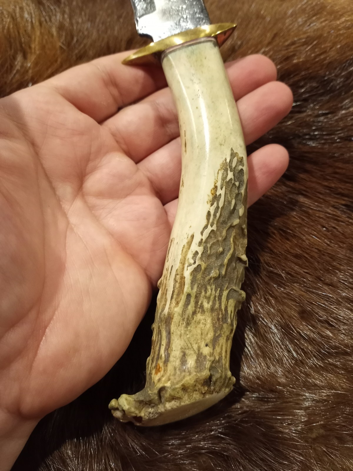Handmade Whitetail Deer Antler Handled Knife Forged Brass Guard Hunting Bowie
